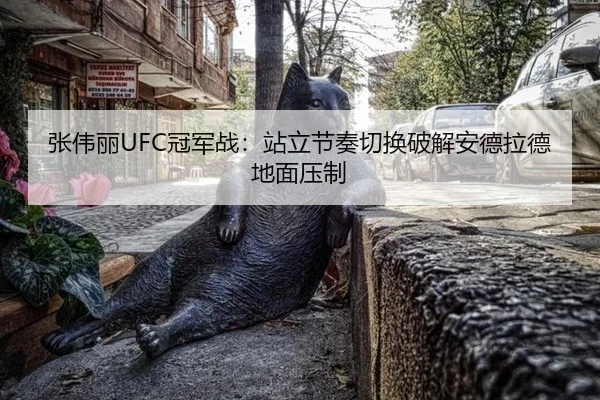 张伟丽UFC冠军战：站立节奏切换破解安德拉德地面压制