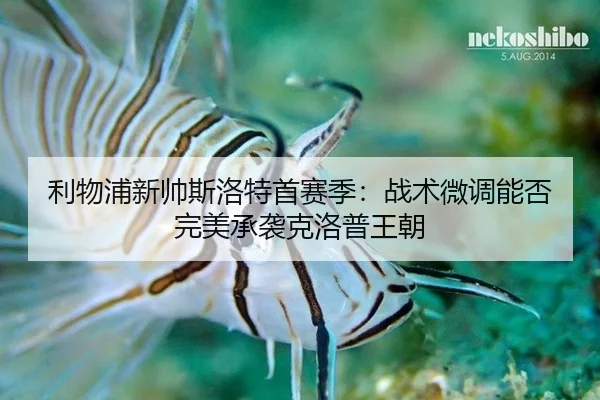 li-wu-pu-xin-shuai-si-luo-te-shou-sai-ji-zhan-shu-wei-diao-neng-fou-wan-mei-cheng-xi-ke-luo-pu-wang-chao-3-381.jpg