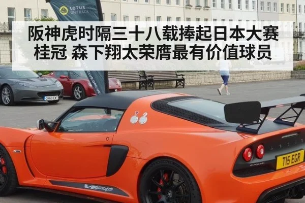 阪神虎时隔三十八载捧起日本大赛桂冠 森下翔太荣膺最有价值球员